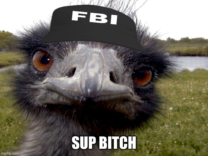 @Australia | SUP BITCH | image tagged in emu face | made w/ Imgflip meme maker