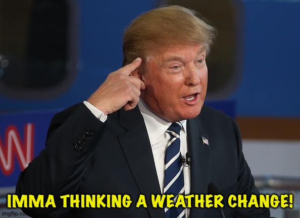 Donald Trump Pointing to His Head | IMMA THINKING A WEATHER CHANGE! | image tagged in donald trump pointing to his head | made w/ Imgflip meme maker