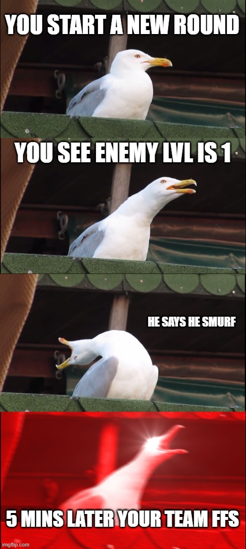 Inhaling Seagull Meme | YOU START A NEW ROUND; YOU SEE ENEMY LVL IS 1; HE SAYS HE SMURF; 5 MINS LATER YOUR TEAM FFS | image tagged in memes,inhaling seagull | made w/ Imgflip meme maker