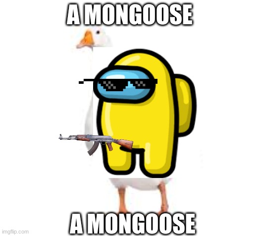 a mongoose | A MONGOOSE; A MONGOOSE | image tagged in among us chat | made w/ Imgflip meme maker