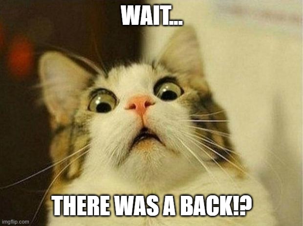 Scared Cat Meme | WAIT... THERE WAS A BACK!? | image tagged in memes,scared cat | made w/ Imgflip meme maker