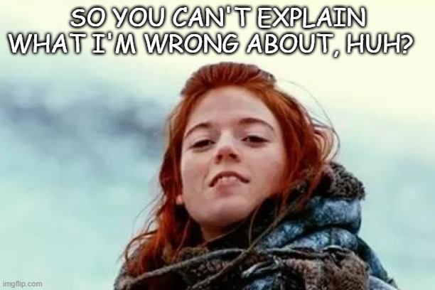 You know nothing | SO YOU CAN'T EXPLAIN WHAT I'M WRONG ABOUT, HUH? | image tagged in you know nothing | made w/ Imgflip meme maker