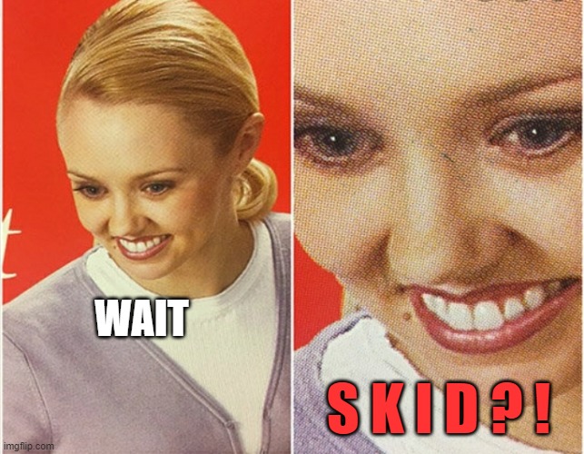 WAIT WHAT? | WAIT S K I D ? ! | image tagged in wait what | made w/ Imgflip meme maker
