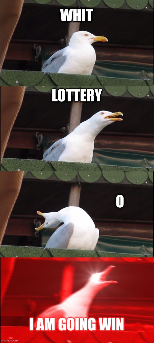 Inhaling Seagull | WHIT; LOTTERY; O; I AM GOING WIN | image tagged in memes,inhaling seagull | made w/ Imgflip meme maker