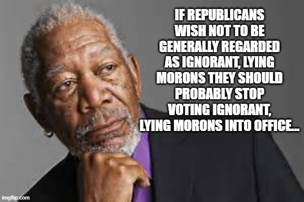 Ipso facto. | IF REPUBLICANS WISH NOT TO BE GENERALLY REGARDED AS IGNORANT, LYING MORONS THEY SHOULD PROBABLY STOP VOTING IGNORANT, LYING MORONS INTO OFFICE... | image tagged in deep thoughts by morgan freeman | made w/ Imgflip meme maker