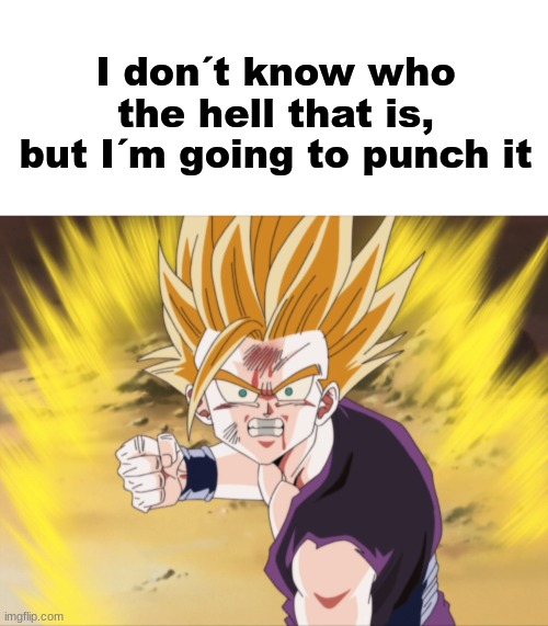 I don´t know who the hell that is, but I´m going to punch it | image tagged in anger ssj2 teen gohan dbz,memes,shitpost,msmg,you have been eternally cursed for reading the tags | made w/ Imgflip meme maker