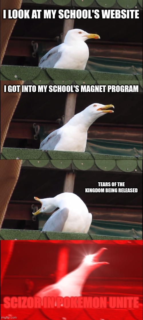 When Scizor comes out ima go SNIP SNIP MF | I LOOK AT MY SCHOOL'S WEBSITE; I GOT INTO MY SCHOOL'S MAGNET PROGRAM; TEARS OF THE KINGDOM BEING RELEASED; SCIZOR IN POKEMON UNITE | image tagged in memes,inhaling seagull | made w/ Imgflip meme maker