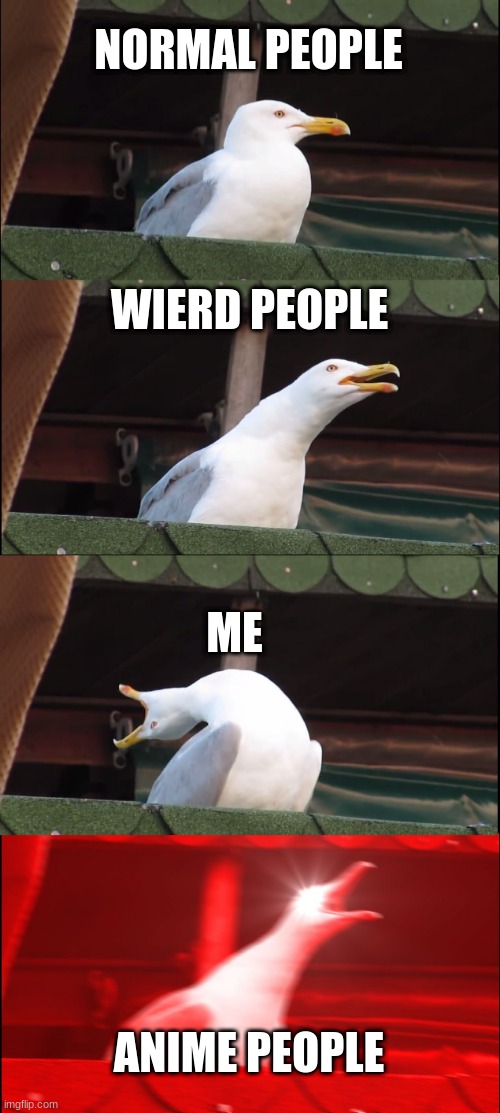 Inhaling Seagull | NORMAL PEOPLE; WIERD PEOPLE; ME; ANIME PEOPLE | image tagged in memes,inhaling seagull | made w/ Imgflip meme maker