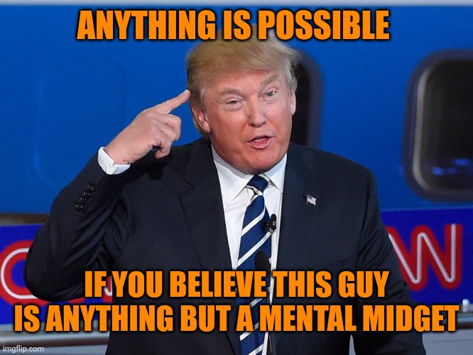 How dumb are trumpers? They think this guy is a genius | ANYTHING IS POSSIBLE IF YOU BELIEVE THIS GUY IS ANYTHING BUT A MENTAL MIDGET | image tagged in donald trump roll safe | made w/ Imgflip meme maker