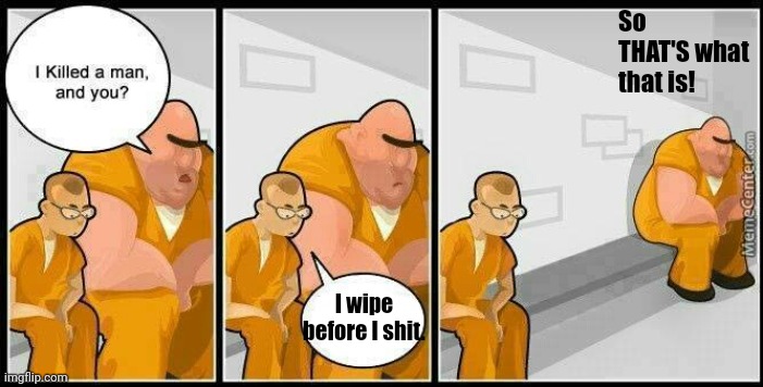 prisoners blank | So THAT'S what that is! I wipe before I shit. | image tagged in prisoners blank | made w/ Imgflip meme maker