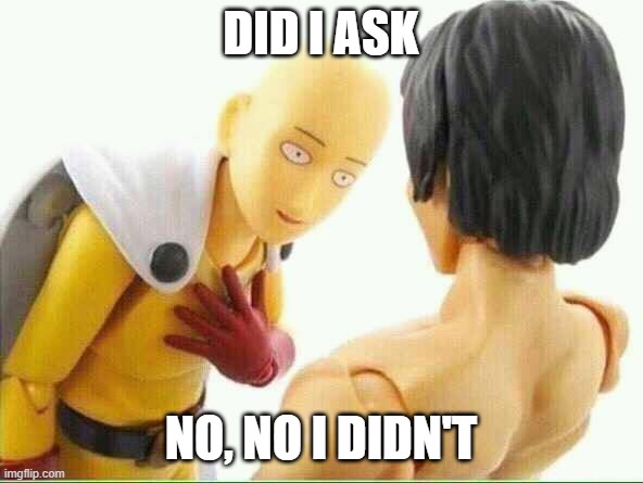 Did I ask you  | DID I ASK NO, NO I DIDN'T | image tagged in did i ask you | made w/ Imgflip meme maker