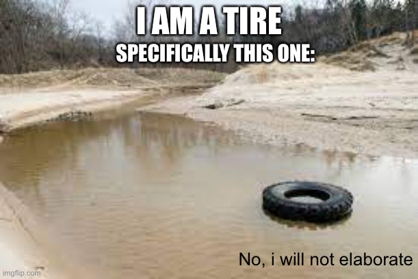 It is surprisingly difficult to find pictures of tires in weird places | I AM A TIRE; SPECIFICALLY THIS ONE:; No, i will not elaborate | image tagged in wheel | made w/ Imgflip meme maker