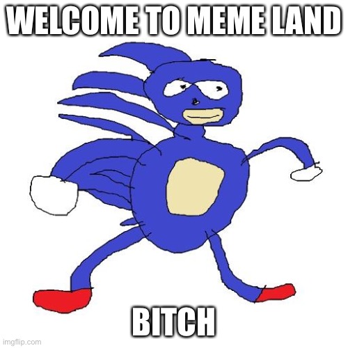 Sanic | WELCOME TO MEME LAND; BITCH | image tagged in sanic,memes | made w/ Imgflip meme maker