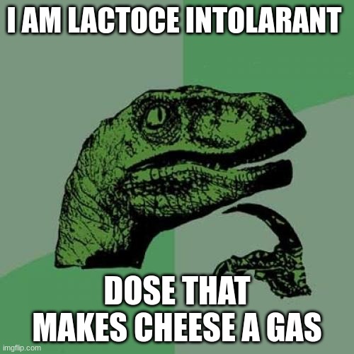 Philosoraptor | I AM LACTOCE INTOLARANT; DOSE THAT MAKES CHEESE A GAS | image tagged in memes,philosoraptor | made w/ Imgflip meme maker