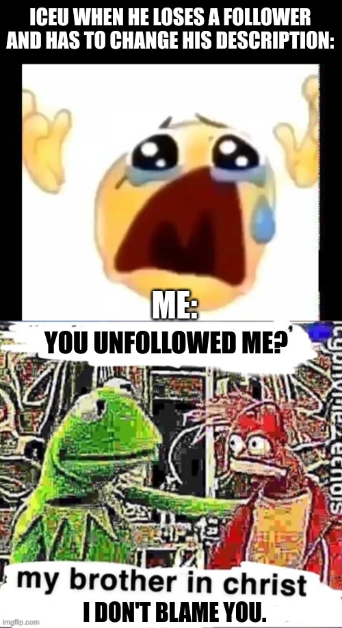 i don't blame you :/ | ICEU WHEN HE LOSES A FOLLOWER AND HAS TO CHANGE HIS DESCRIPTION:; ME:; YOU UNFOLLOWED ME? I DON'T BLAME YOU. | image tagged in cursed crying emoji,my brother in christ,iceu,help me | made w/ Imgflip meme maker