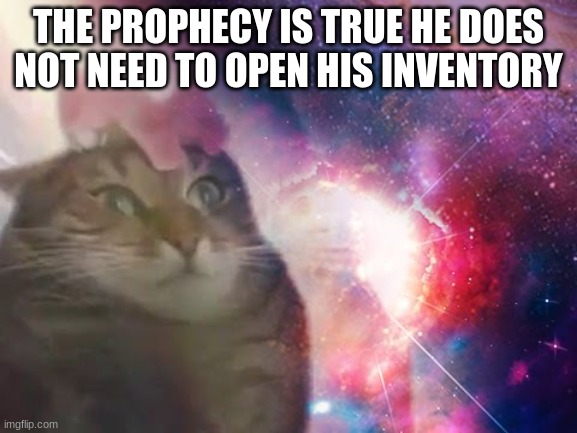 the prophecy is true cat | THE PROPHECY IS TRUE HE DOES NOT NEED TO OPEN HIS INVENTORY | image tagged in the prophecy is true cat | made w/ Imgflip meme maker