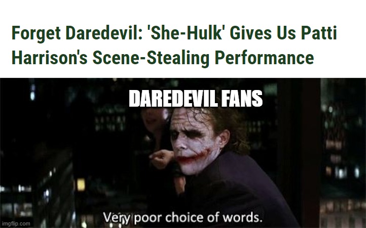 Daredevil is the only reason I'm still watching. |  DAREDEVIL FANS | image tagged in very poor choice of words,daredevil,she-hulk | made w/ Imgflip meme maker