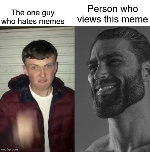 Hates memes vs viewing this meme | Person who views this meme; The one guy who hates memes | image tagged in average fan vs average enjoyer | made w/ Imgflip meme maker