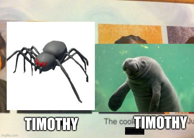 Manatee Timothy | TIMOTHY; TIMOTHY | image tagged in the cooler daniel | made w/ Imgflip meme maker