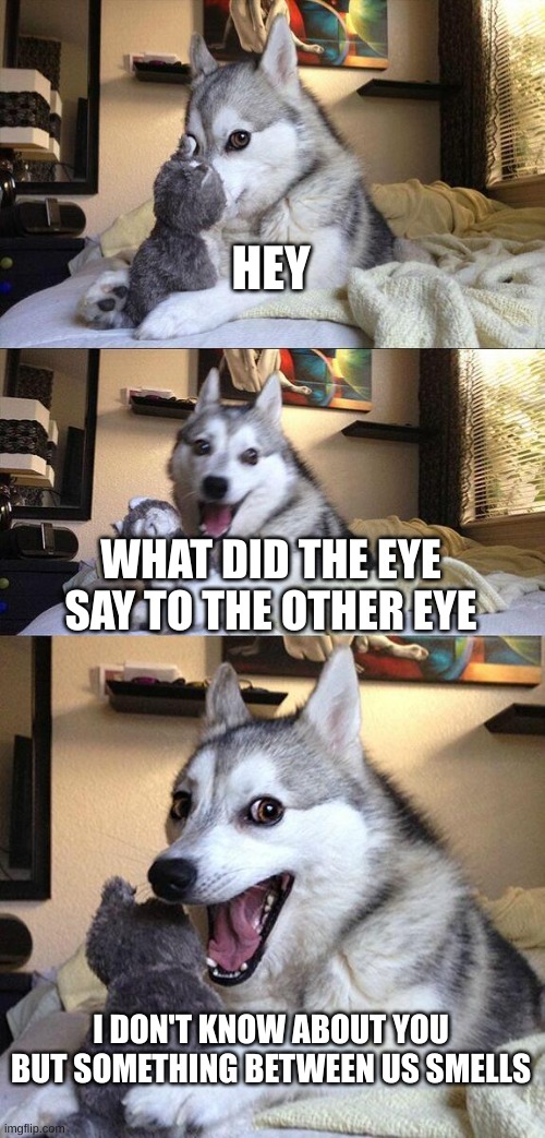 funny dog | HEY; WHAT DID THE EYE SAY TO THE OTHER EYE; I DON'T KNOW ABOUT YOU BUT SOMETHING BETWEEN US SMELLS | image tagged in memes,bad pun dog | made w/ Imgflip meme maker