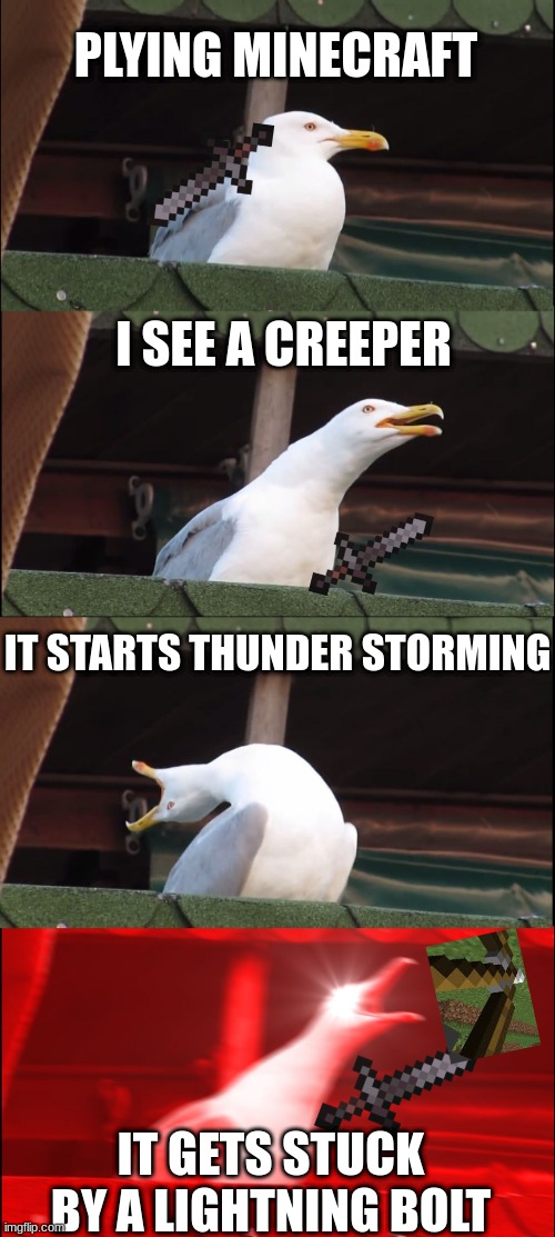 true | PLYING MINECRAFT; I SEE A CREEPER; IT STARTS THUNDER STORMING; IT GETS STUCK BY A LIGHTNING BOLT | image tagged in memes,inhaling seagull | made w/ Imgflip meme maker