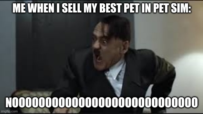 RIP PET SIM | ME WHEN I SELL MY BEST PET IN PET SIM:; NOOOOOOOOOOOOOOOOOOOOOOOOOOOO | image tagged in noooooooooooooooooooooooo | made w/ Imgflip meme maker