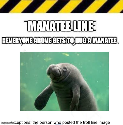 MANATEE LINE; EVERYONE ABOVE GETS TO HUG A MANATEE | image tagged in manatee line | made w/ Imgflip meme maker