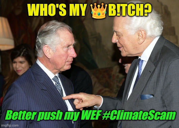 World Ready for UBI via Central Banksters CBDCs? Nothing like a really Good Crisis. | WHO'S MY 👑B!TCH? Better push my WEF #ClimateScam; Klaus Schwab | image tagged in may be a rothschild if,british royals,climate change,bankers,cryptocurrency,the great awakening | made w/ Imgflip meme maker