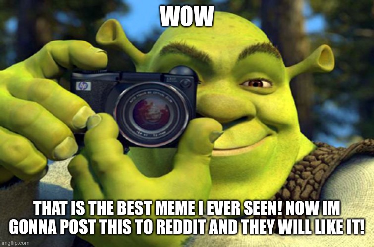 shrek camera | WOW THAT IS THE BEST MEME I EVER SEEN! NOW IM GONNA POST THIS TO REDDIT AND THEY WILL LIKE IT! | image tagged in shrek camera | made w/ Imgflip meme maker