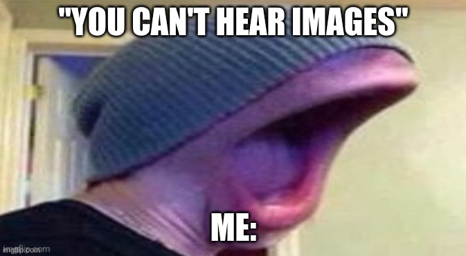 internal screams | "YOU CAN'T HEAR IMAGES"; ME: | image tagged in aaaaaaaaaaaaa | made w/ Imgflip meme maker