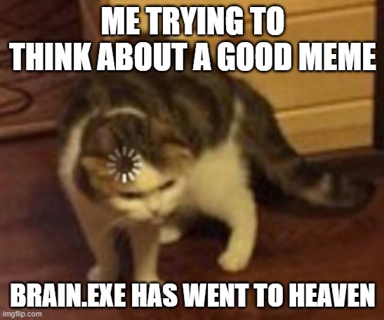 no memes? |  ME TRYING TO THINK ABOUT A GOOD MEME; BRAIN.EXE HAS WENT TO HEAVEN | image tagged in loading cat | made w/ Imgflip meme maker