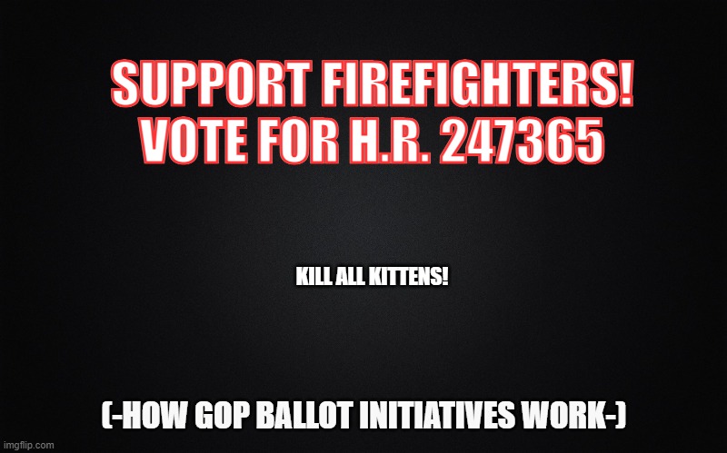 black blank rectangle c | SUPPORT FIREFIGHTERS!
VOTE FOR H.R. 247365; KILL ALL KITTENS! (-HOW GOP BALLOT INITIATIVES WORK-) | image tagged in black blank rectangle c | made w/ Imgflip meme maker