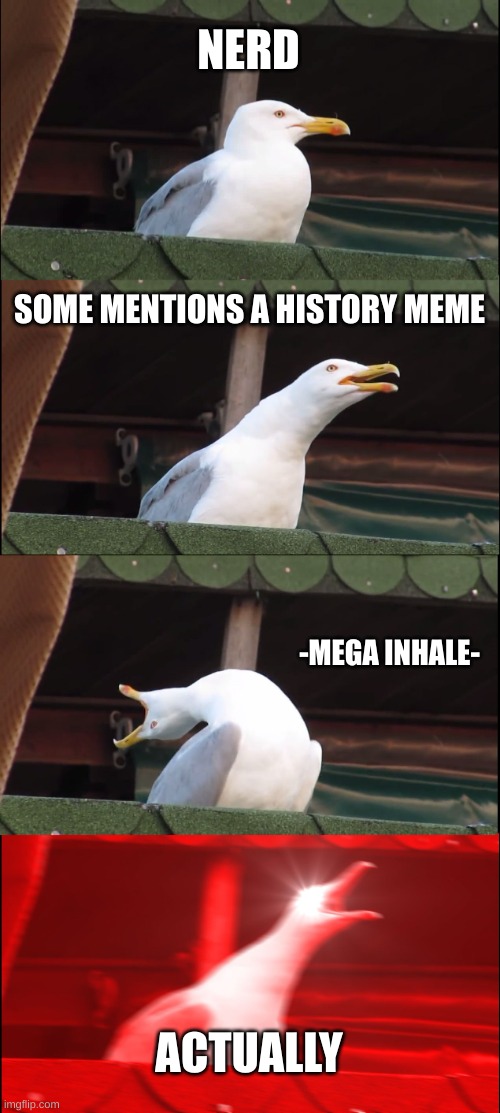 nerds | NERD; SOME MENTIONS A HISTORY MEME; -MEGA INHALE-; ACTUALLY | image tagged in memes,inhaling seagull | made w/ Imgflip meme maker