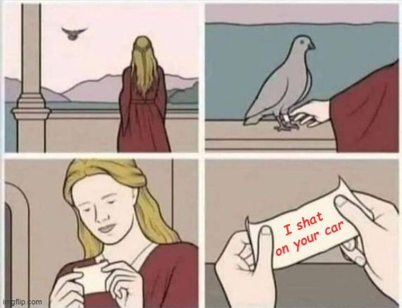 Pigeon handing note | I shat on your car | image tagged in pigeon handing note | made w/ Imgflip meme maker