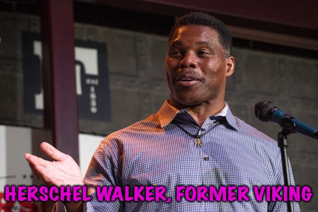 Herschel Walker | HERSCHEL WALKER, FORMER VIKING | image tagged in herschel walker | made w/ Imgflip meme maker