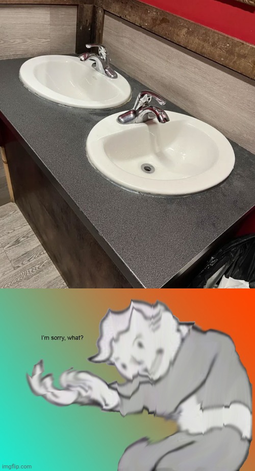 Sinks | image tagged in i'm sorry what,you had one job,sinks,sink,memes,fail | made w/ Imgflip meme maker