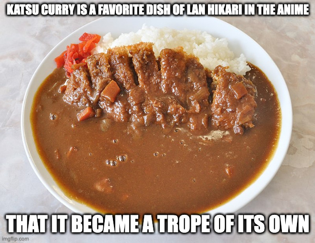 Katsu Curry | KATSU CURRY IS A FAVORITE DISH OF LAN HIKARI IN THE ANIME; THAT IT BECAME A TROPE OF ITS OWN | image tagged in food,memes | made w/ Imgflip meme maker