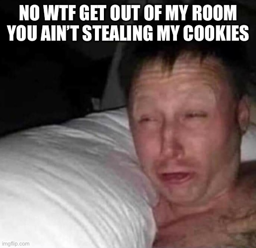 Sleepy guy | NO WTF GET OUT OF MY ROOM YOU AIN’T STEALING MY COOKIES | image tagged in sleepy guy | made w/ Imgflip meme maker