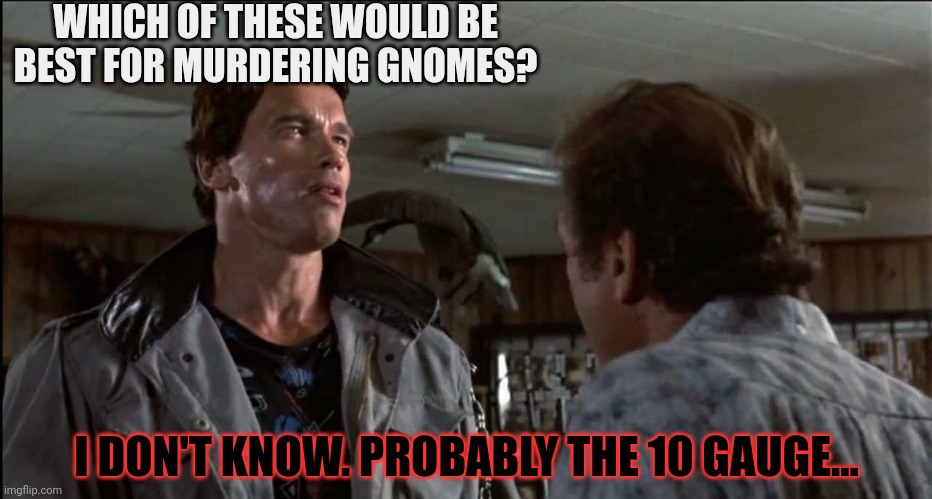 Terminator - gun store - flower shop | WHICH OF THESE WOULD BE BEST FOR MURDERING GNOMES? I DON'T KNOW. PROBABLY THE 10 GAUGE... | image tagged in terminator - gun store - flower shop | made w/ Imgflip meme maker
