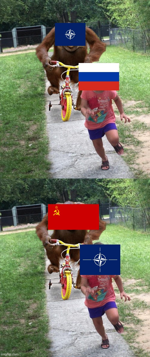 Run Nato!! | image tagged in orangutan chasing girl on a tricycle | made w/ Imgflip meme maker