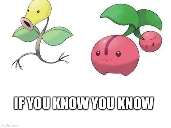 If you know you know |  IF YOU KNOW YOU KNOW | image tagged in pokemon,sus | made w/ Imgflip meme maker