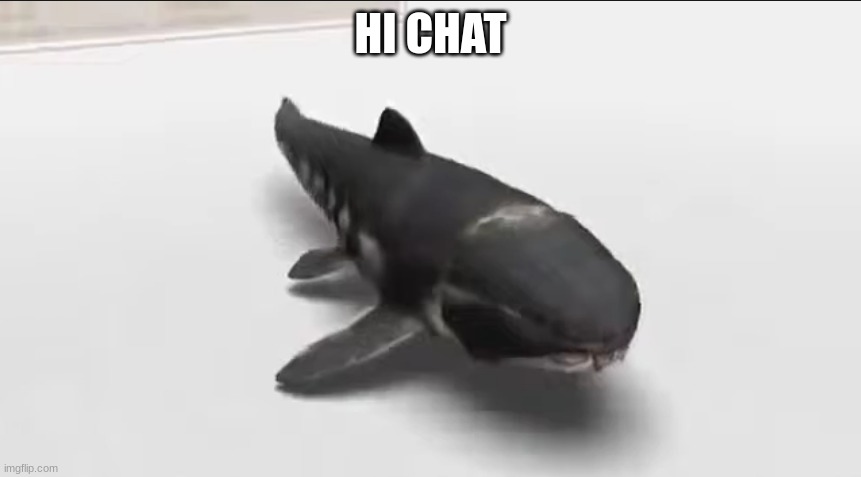 dunkleosteus in the damn wii menu | HI CHAT | image tagged in dunkleosteus in the damn wii menu | made w/ Imgflip meme maker