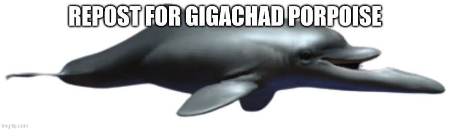 Semirostrum | REPOST FOR GIGACHAD PORPOISE | image tagged in semirostrum | made w/ Imgflip meme maker