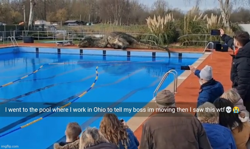 Hell naw | I went to the pool where I work in Ohio to tell my boss im moving then I saw this wtf💀😭 | image tagged in ohio,dinosaur | made w/ Imgflip meme maker