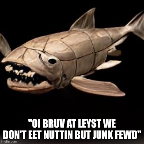 Prompt used: "Dunkleosteus Terrelli goes to Burger King" | "OI BRUV AT LEYST WE DON'T EET NUTTIN BUT JUNK FEWD" | made w/ Imgflip meme maker