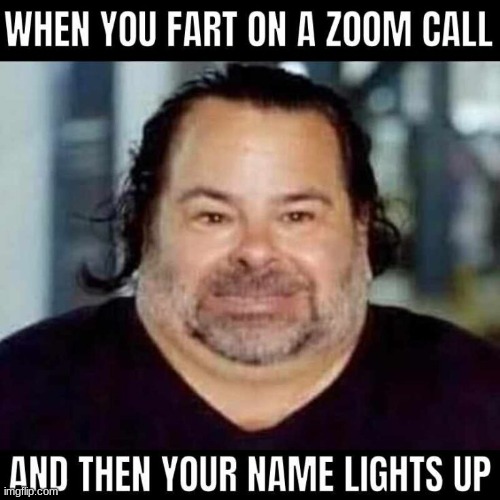 when you fart in a zoom call | image tagged in funny memes | made w/ Imgflip meme maker