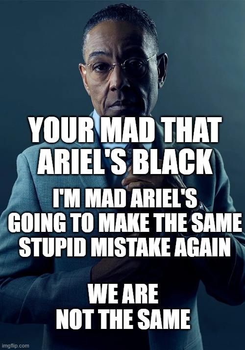 Why must she return- | YOUR MAD THAT ARIEL'S BLACK; I'M MAD ARIEL'S GOING TO MAKE THE SAME STUPID MISTAKE AGAIN; WE ARE NOT THE SAME | image tagged in we are not the same | made w/ Imgflip meme maker