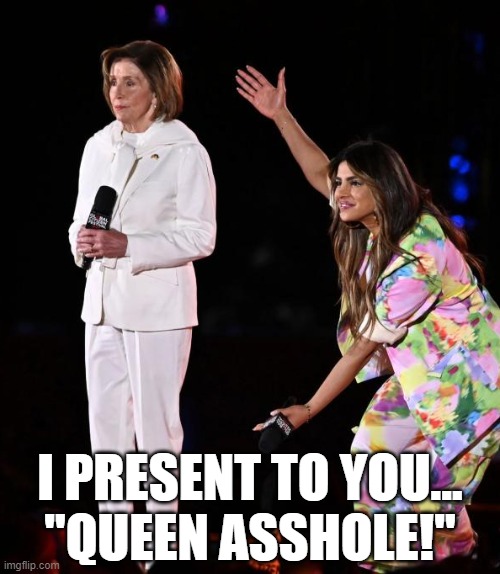 That's "Supreme Queen Asshole" to you. | I PRESENT TO YOU...
"QUEEN ASSHOLE!" | image tagged in nancy pelosi,queen asshole,memes,nyc global citizen music festival | made w/ Imgflip meme maker