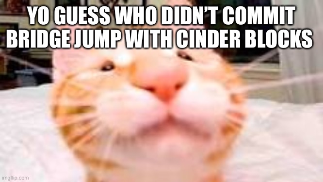 I want to do bad | YO GUESS WHO DIDN’T COMMIT BRIDGE JUMP WITH CINDER BLOCKS | image tagged in my dog is extra crunchy and has diarrhea | made w/ Imgflip meme maker