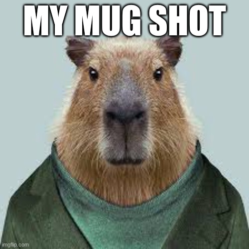 lol | MY MUG SHOT | image tagged in lol so funny | made w/ Imgflip meme maker